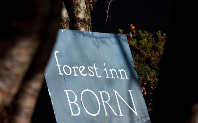 Forest Inn Born