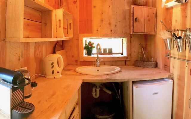 Wild Boar Mountain - France