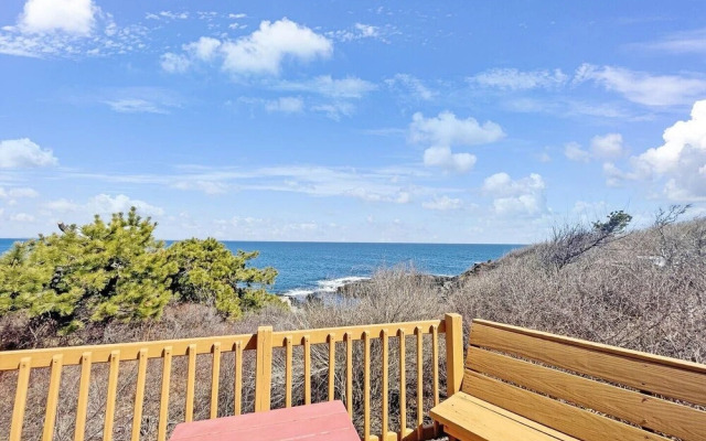 Seacoast Sanctuary