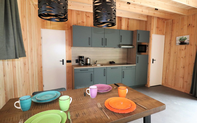 Unique Holiday Home in Dalerveen With Garden