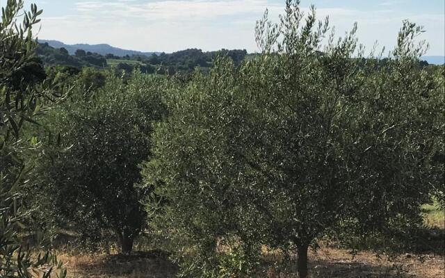 Gite Au Coeur du Pays Cathare