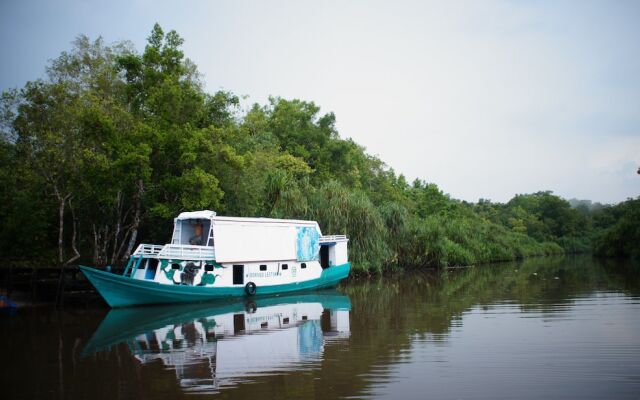 Houseboat Bee Kelotok