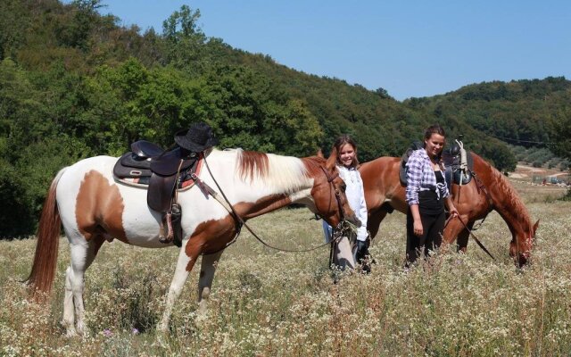 B&B Paglia e Fieno