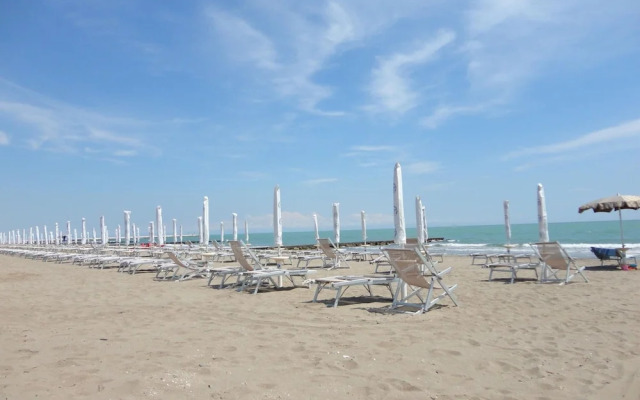 Apartment Near Beach & Venice