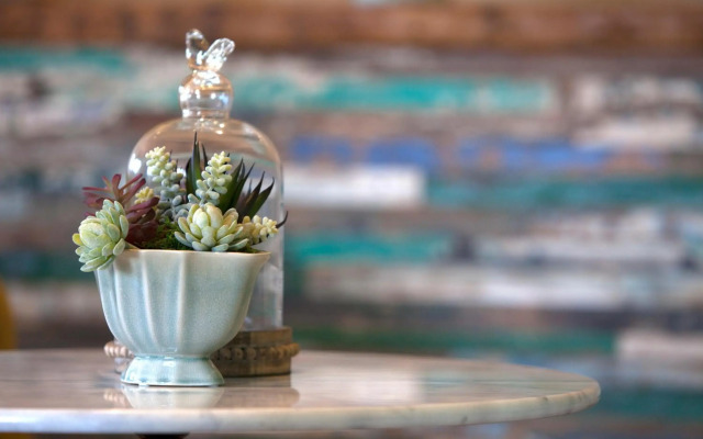 Hermanus Boutique Guest House