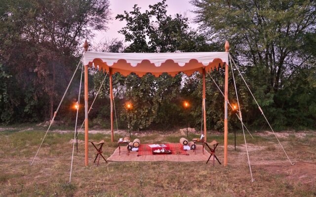 Sawai Shivir Ranthambore by TUTC