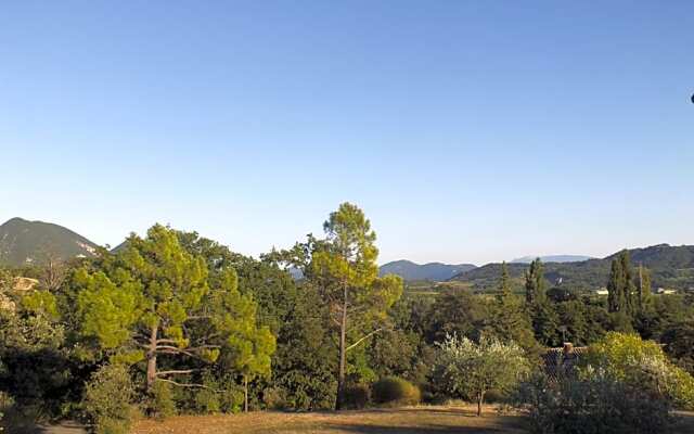 Une Ronce sous le Figuier