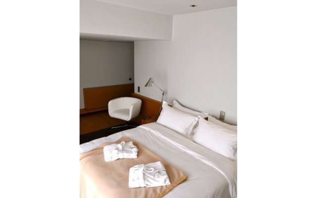 Elafivolia Arachova Suites