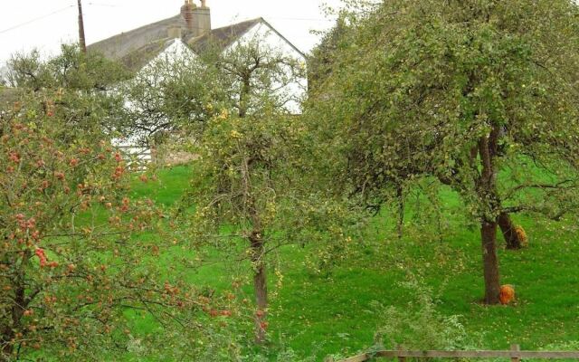 Wassail Cottage