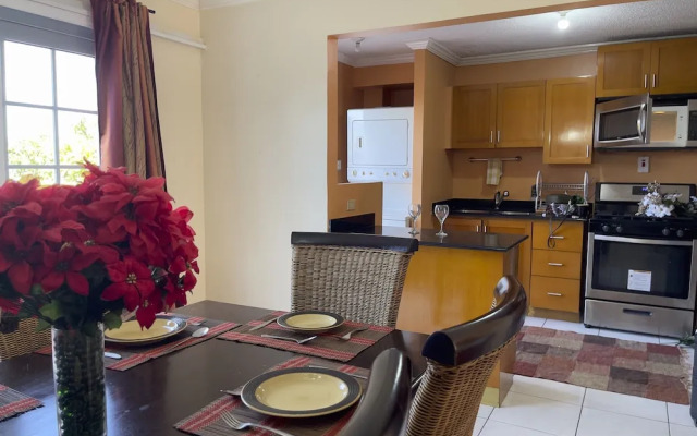 Montego Bay-Island Escape-Free-Shuttle