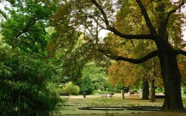 Appartamento Slataper