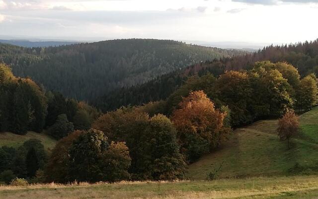 Schnetter Hummel, Apartment 1