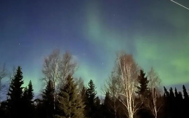 Alaska 7 Motel