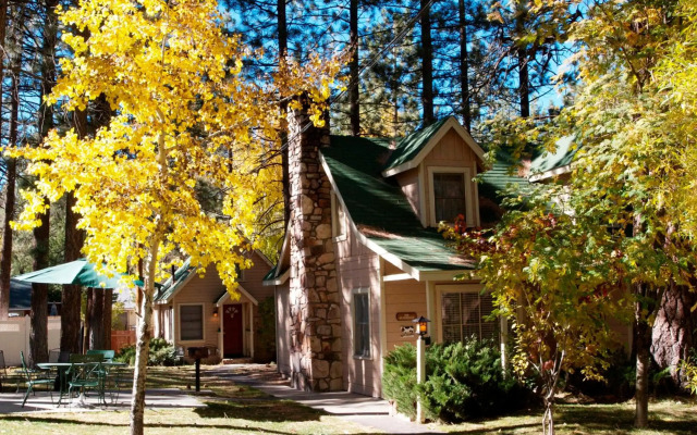 Sleepy Forest Cottages
