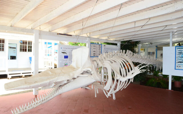 Anchorage Hotel & Dive Center