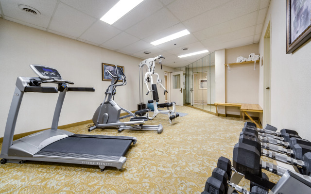 Monte Carlo Inn - Brampton Suites