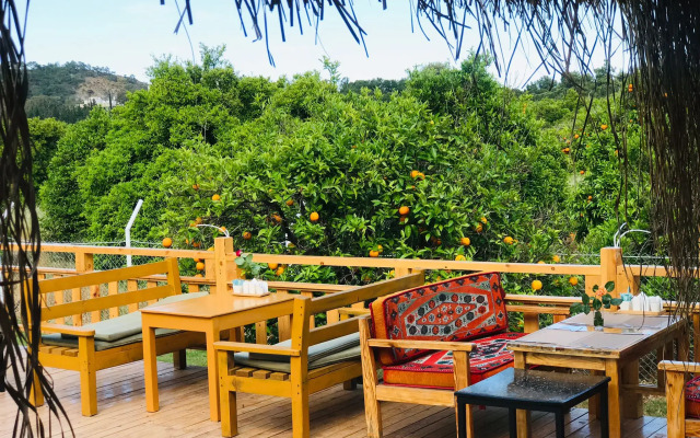 Dream Town Hotel & Restaurant