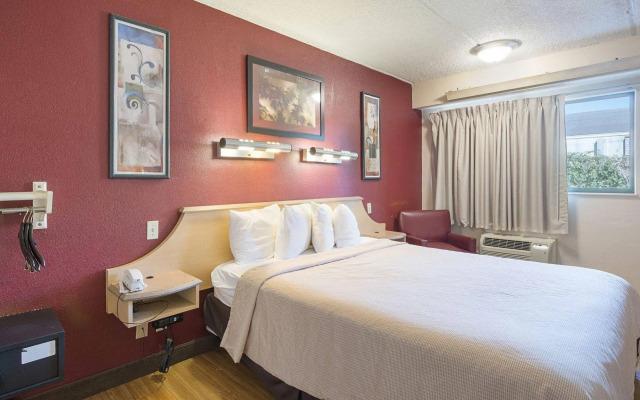 Red Roof Inn Tampa Busch