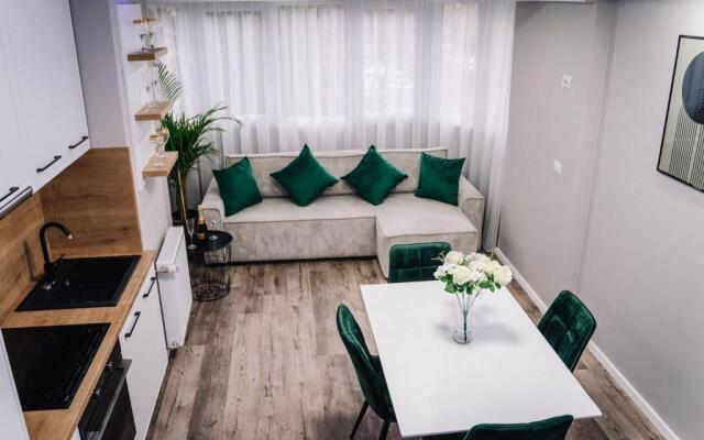 Scandinavian Lux Apartment Oradea