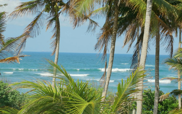 Coconut Hill Homestay