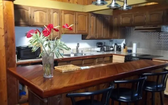 Volcano Country House