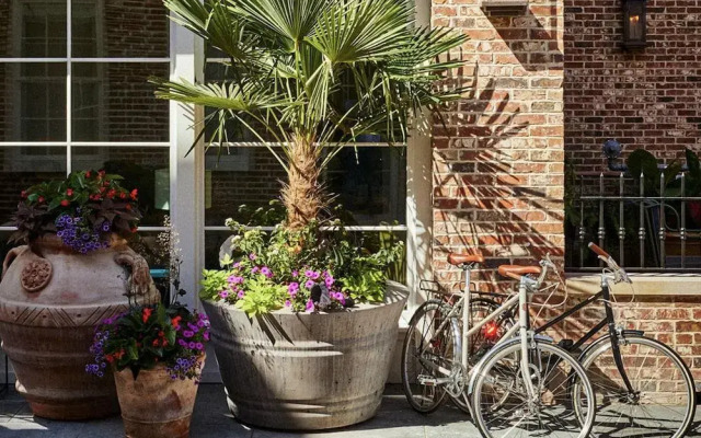 The Pinch Hotel