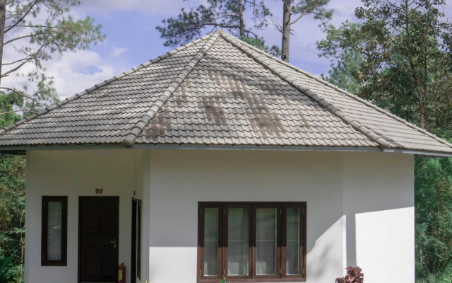 vKirirom Pine Resort
