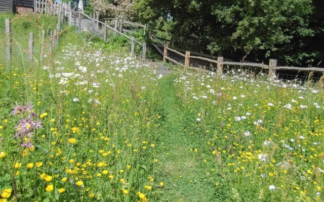 Swallows Barn