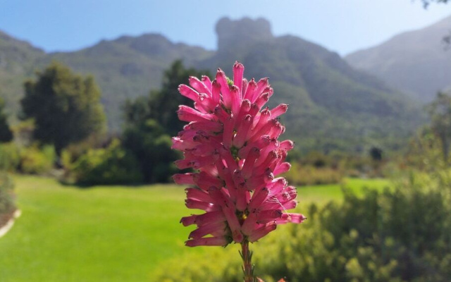 Pearl of Hout Bay