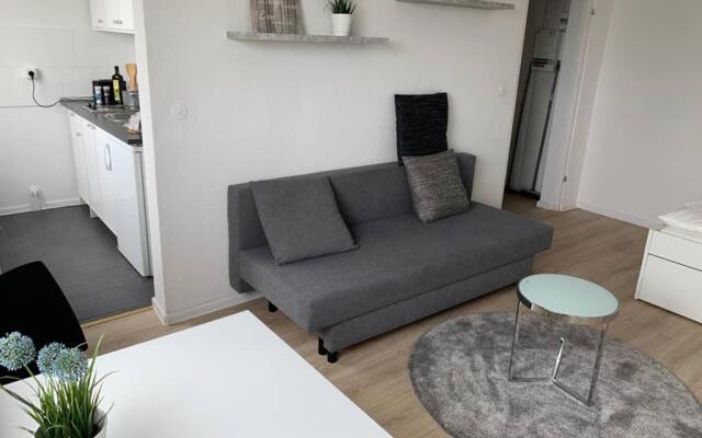 1 Zi-Whg, Netflix, Wifi, Küche, 15min zum Zentrum