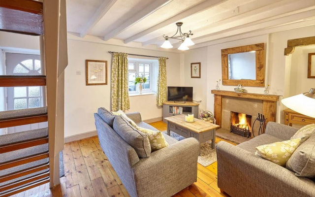 Host Stay Green Willow