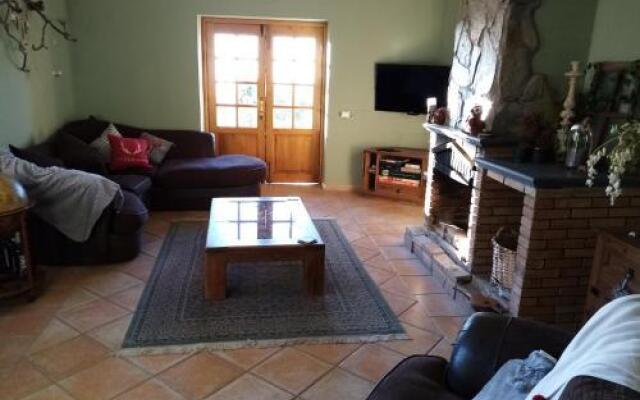 Ziggy's Mountain Retreat