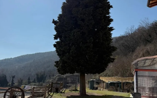 Agriturismo Corte Marani