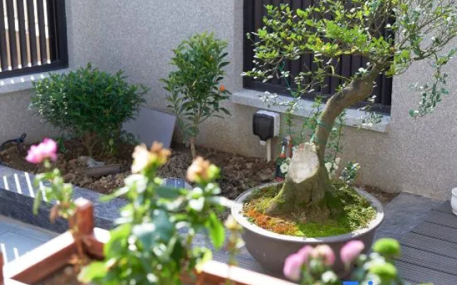 Xiangshan Youjian Homestay – Outside – Ningbo