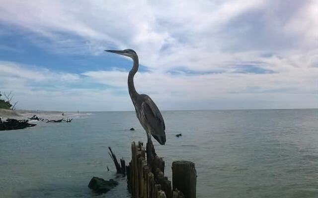 Sanibel Siesta on the Beach Unit 106 2 Bedrooms 2 Bathrooms Condo