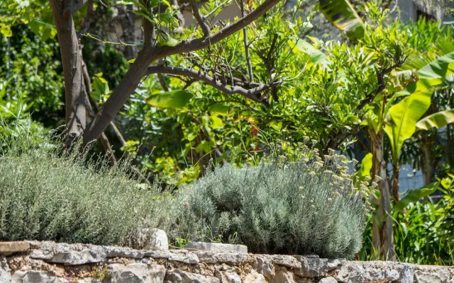 An Apartment Lavanda