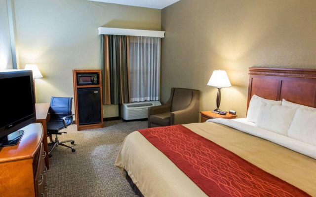 Comfort Inn Opelika - Auburn