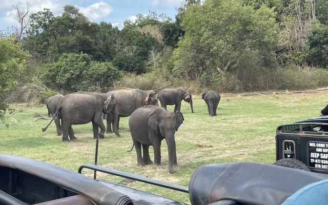 Sigiri Serenity Hostel