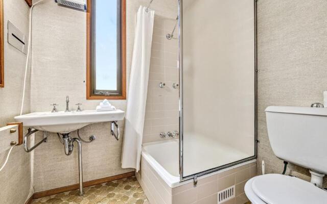 Grey Kangaroo- On Lake Jindabyne foreshore