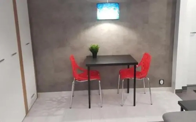 Arena Studio