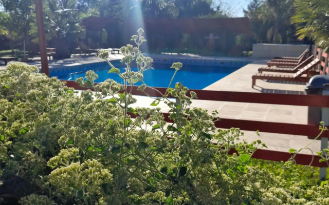 Verde y Sol en la Colonia