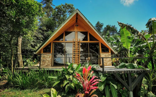Tityra Lodge