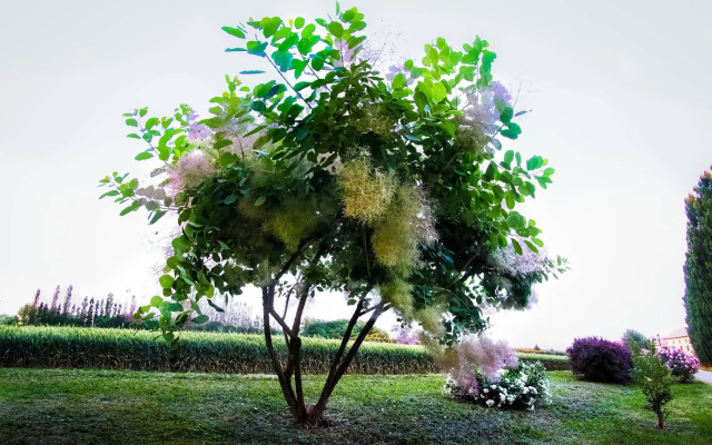 Agriturismo Millefiori Corte delle Rose