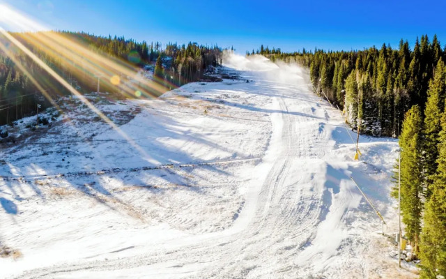 Silver Mill #8272 : 2