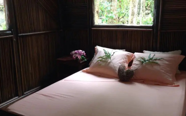 Hotel Pangalanes Jungle Nofy