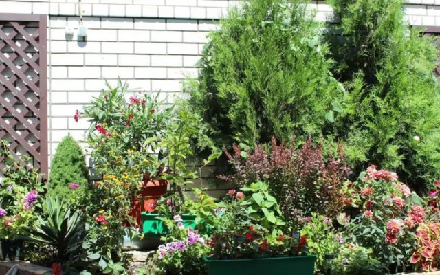 Guest House Semeynyy