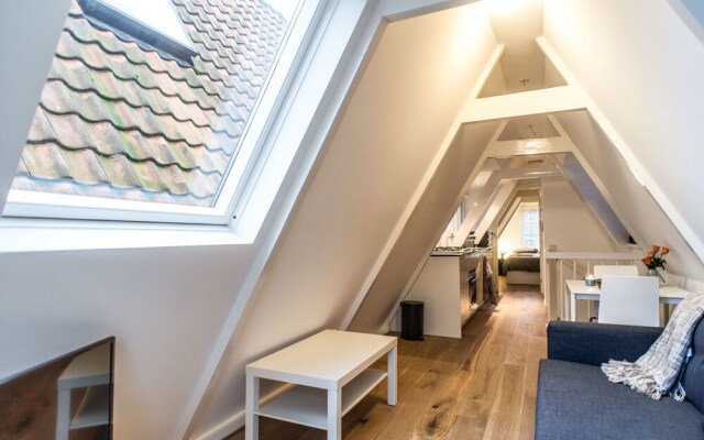 Center Roof Apartment