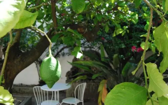 O Jardim Da Tessa