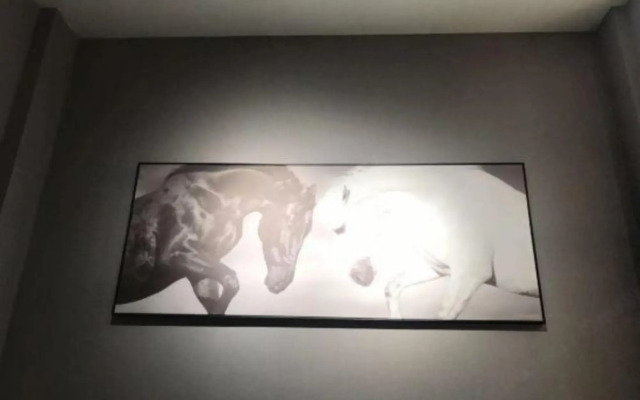 Junyi chain hotel (mei jia road, jiaxing)