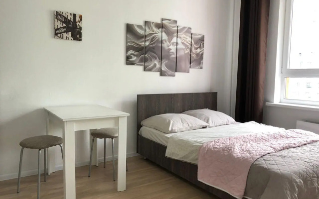 Апартаменты на проспекте Фрунзе